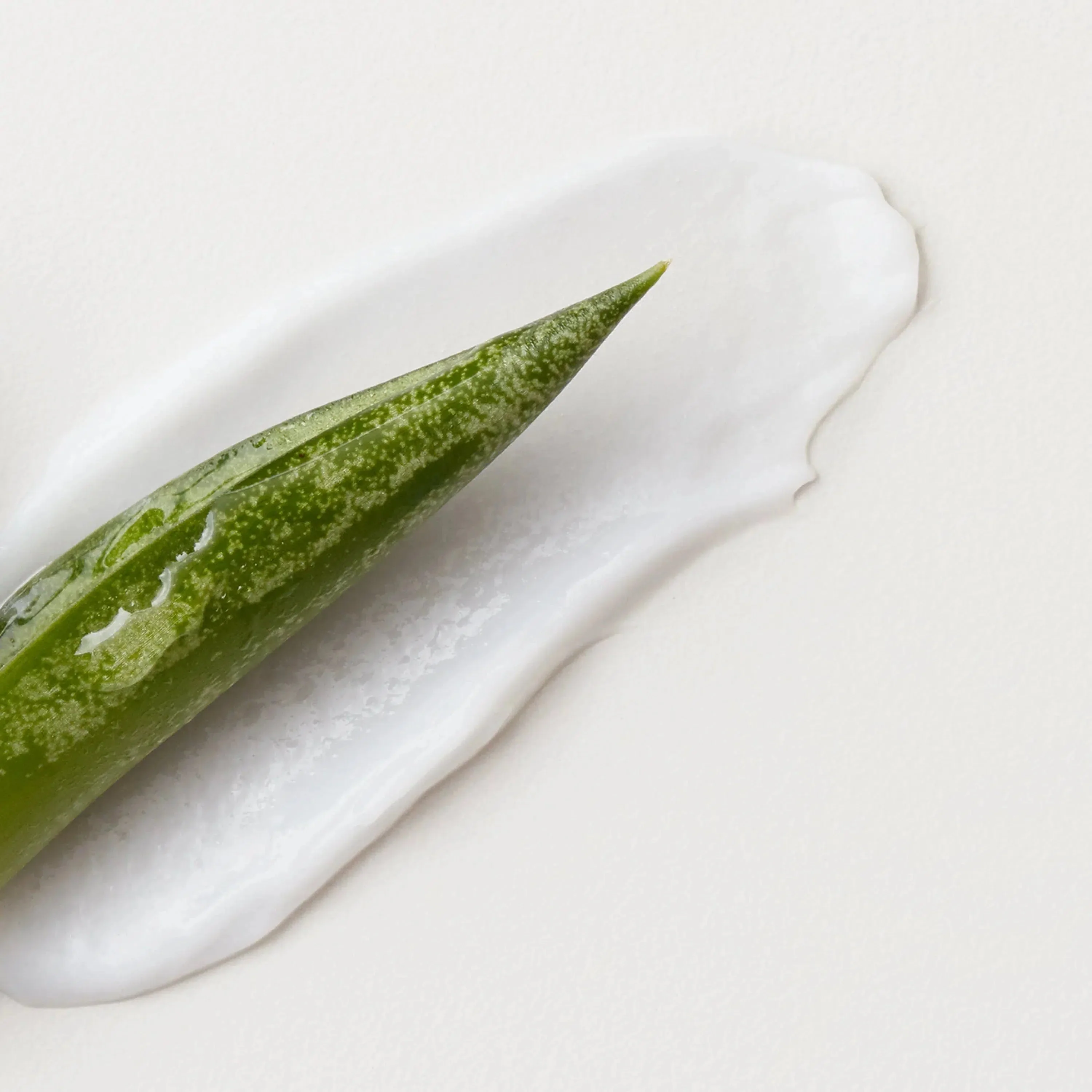 Fast Food Leave-On Conditioner - Image 5