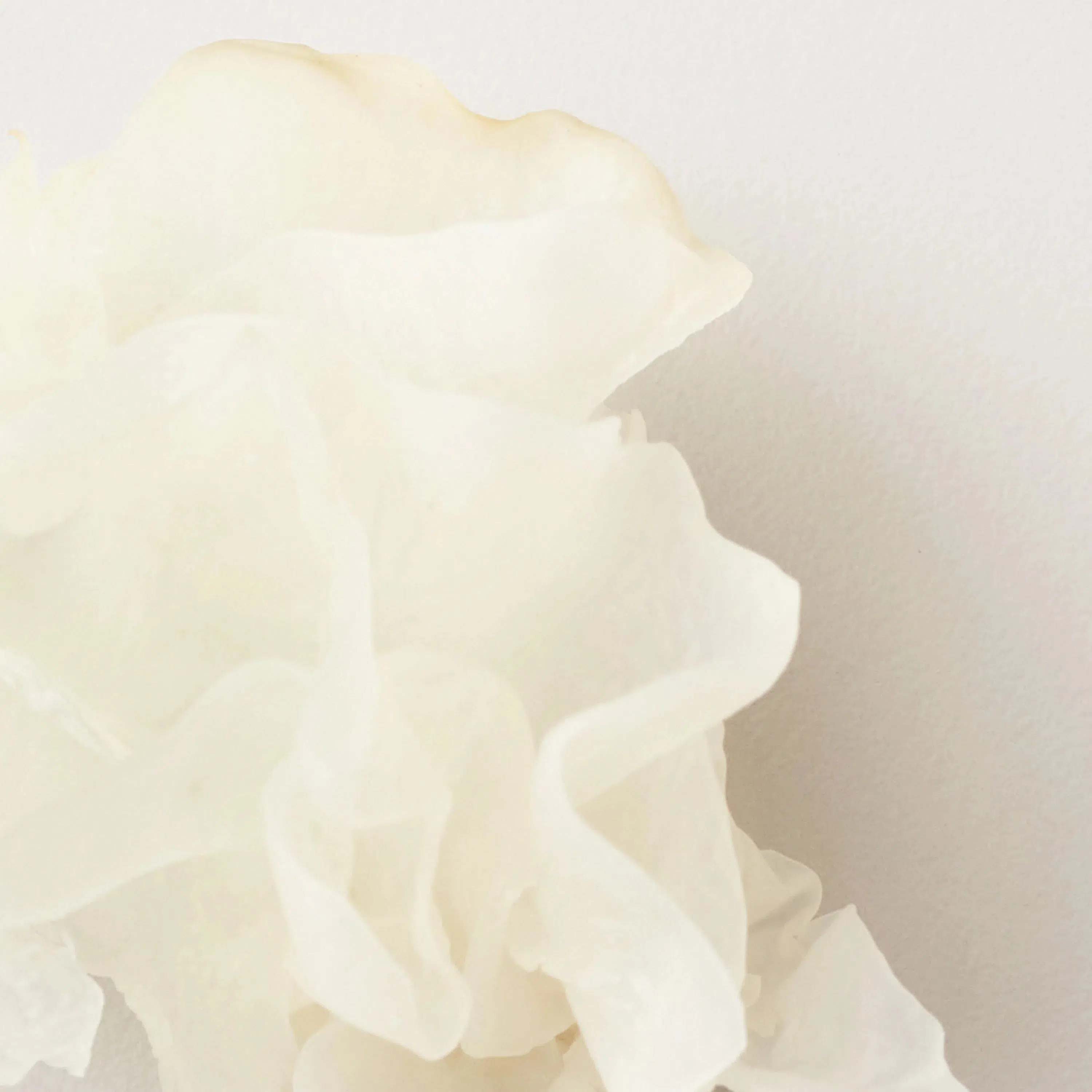 Nourish Snow Mushroom Moisture Mask - Image 3