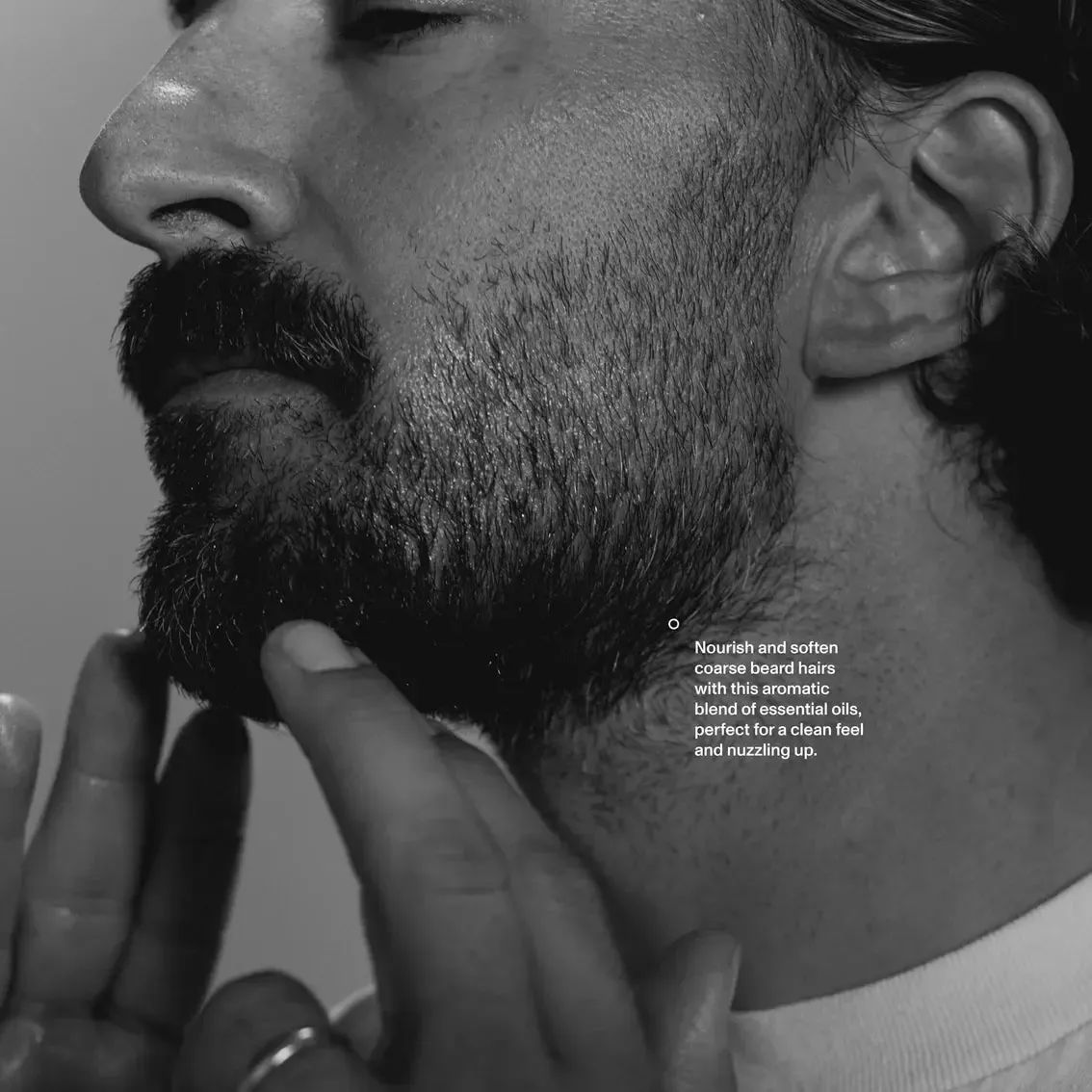 Beard Replenishment Oil - Image 5