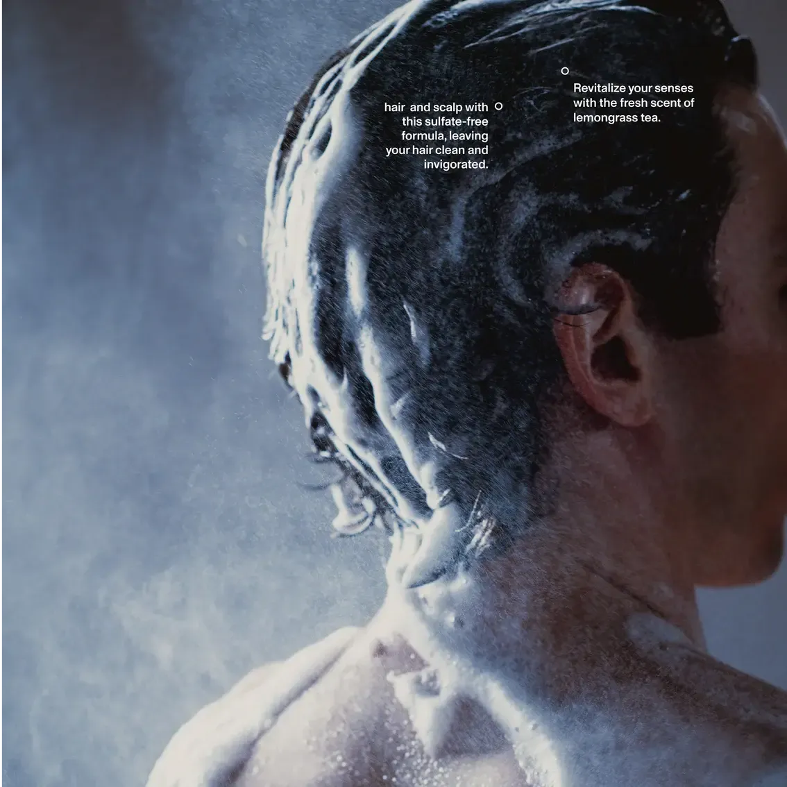 Lemongrass Tea Shampoo - Image 4