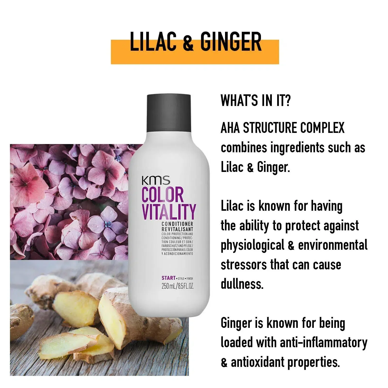 Colorvitality Conditioner - Image 3