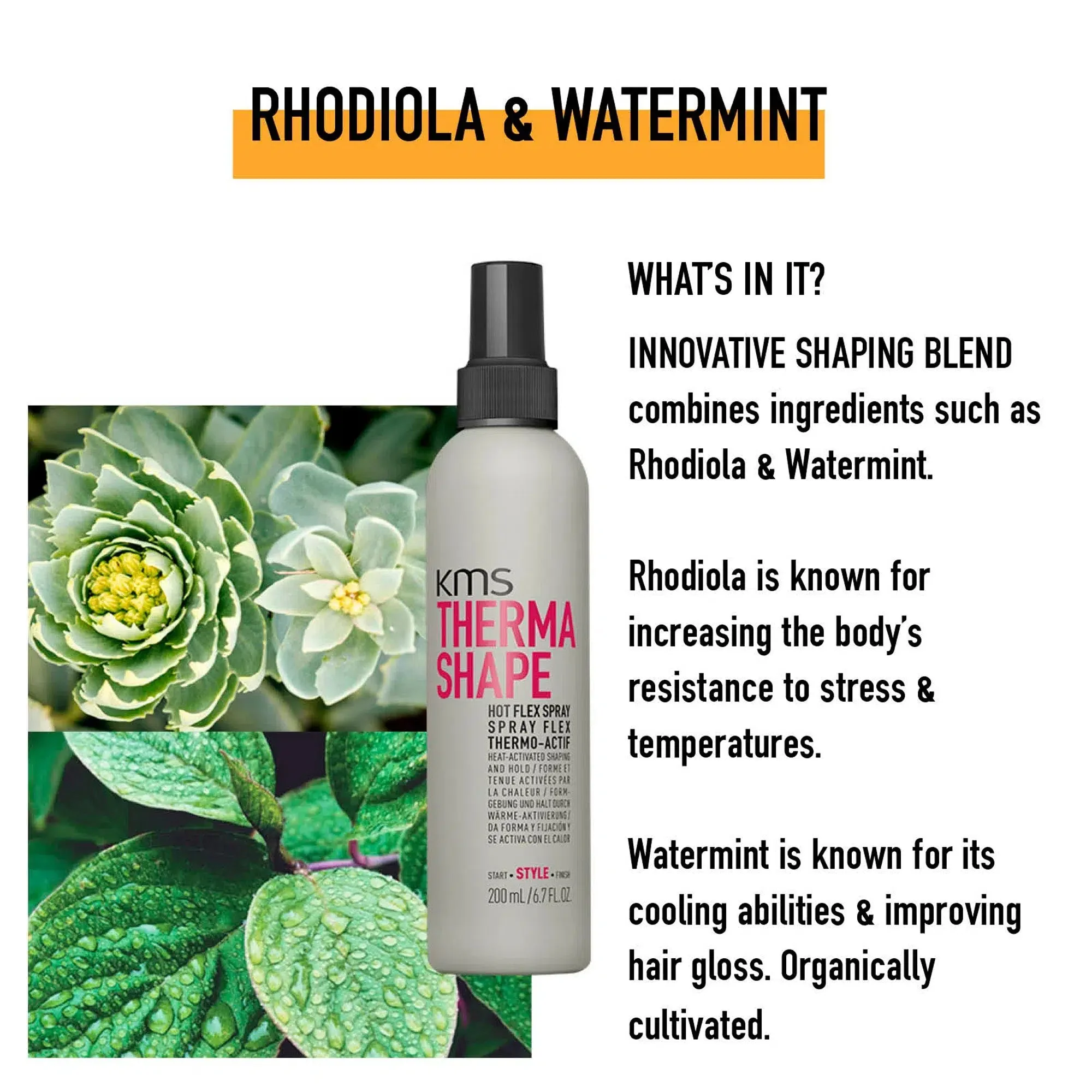 Thermashape Hot Flex Spray - Image 3