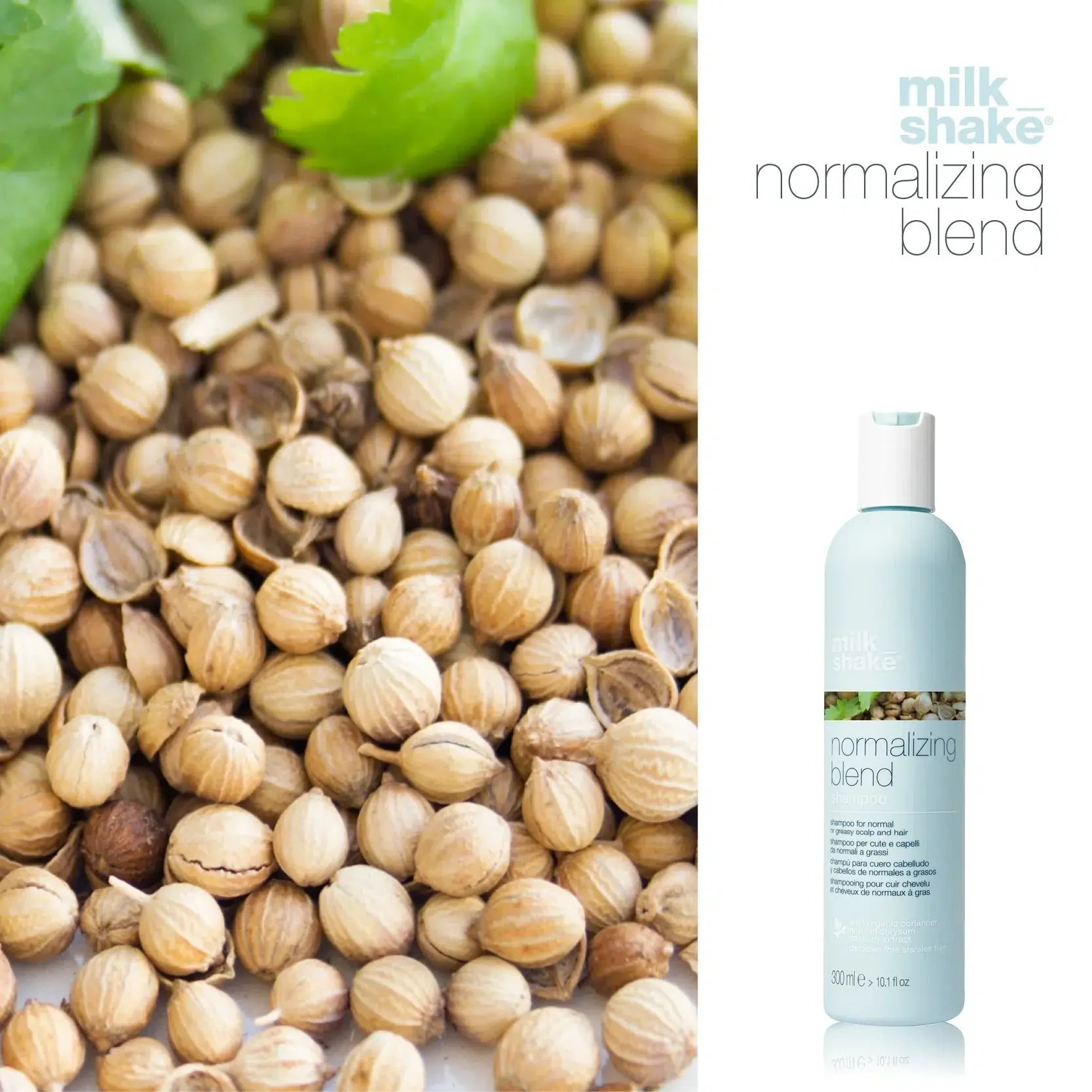 Normalizing Blend Shampoo - Image 3