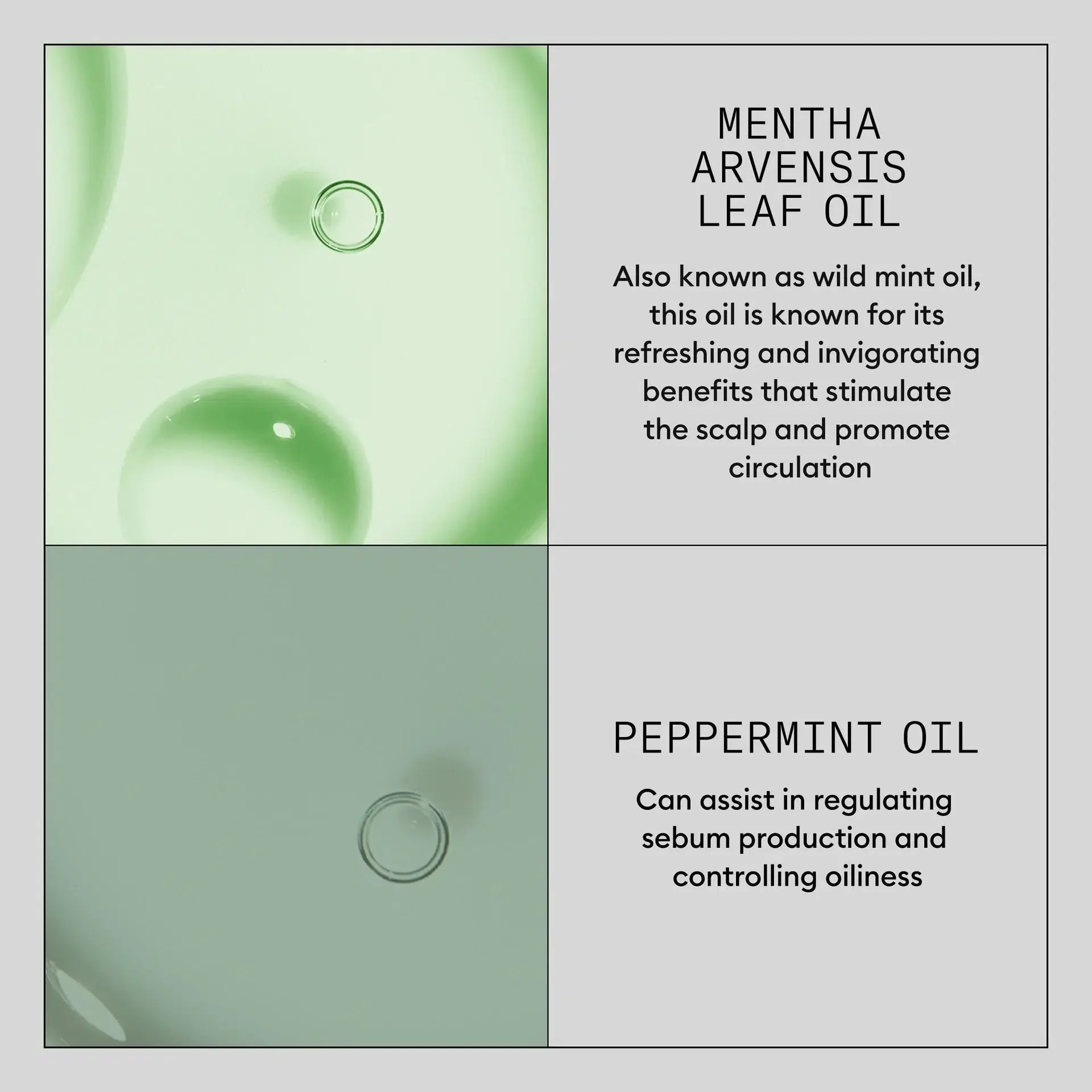 Scalp Renew Dermabrasion Treatment - Image 6