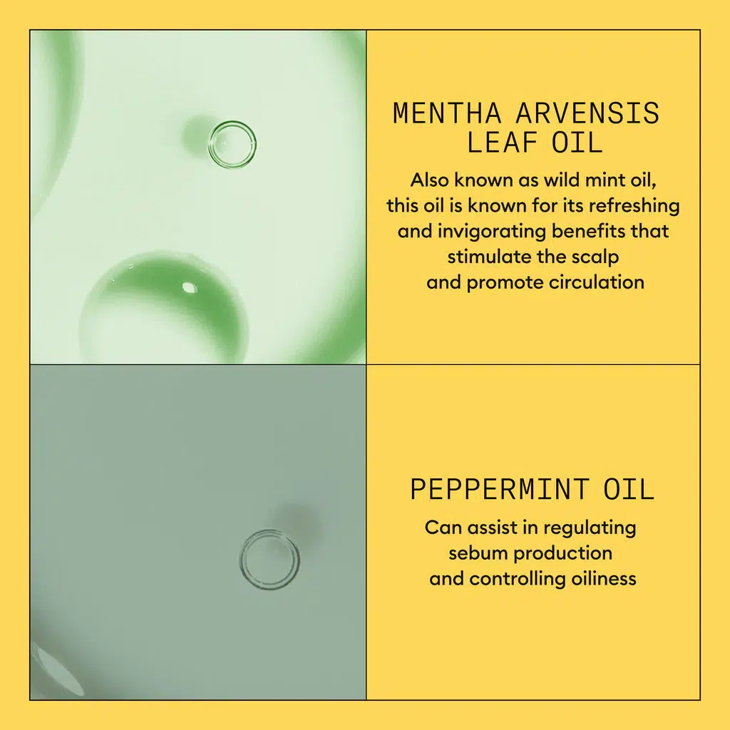 Scalp + Hair Conditioner - System 1 - Image 6