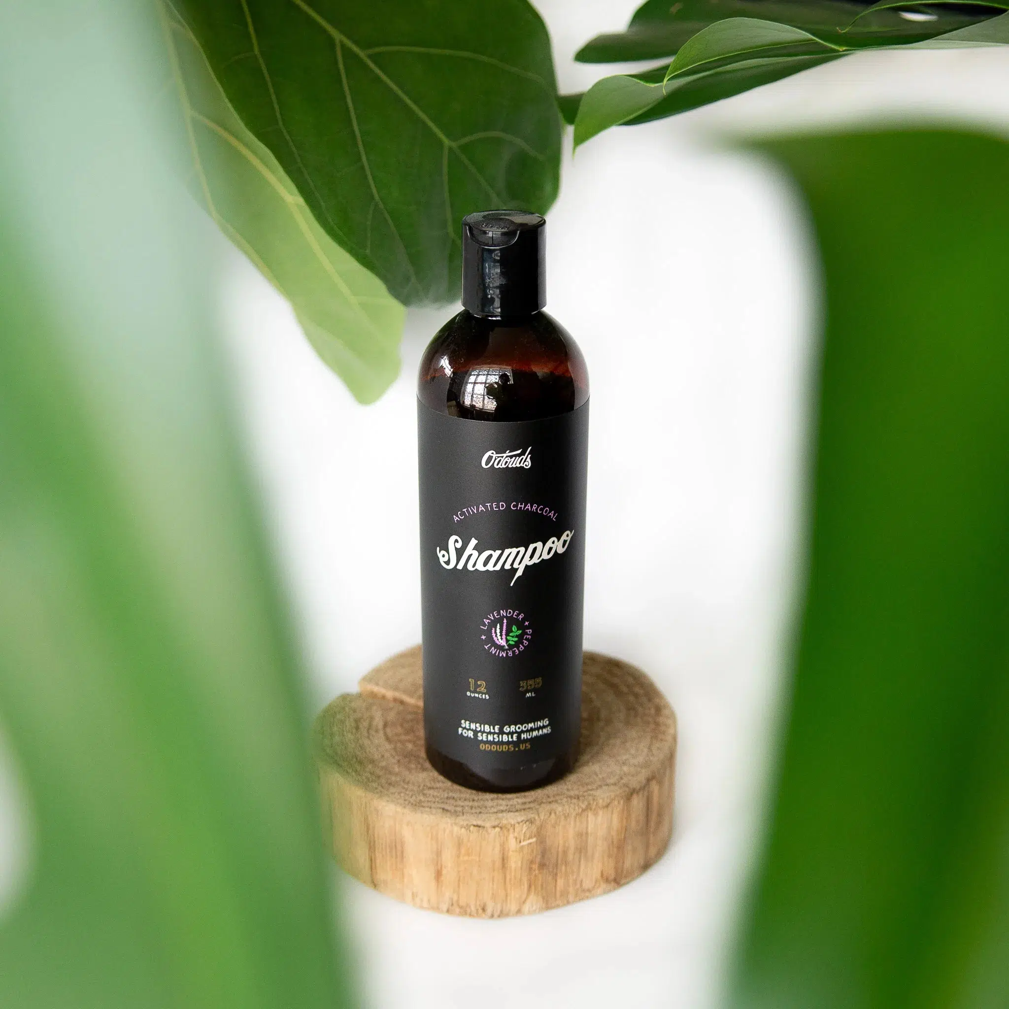 Activated Charcoal Shampoo - Image 4