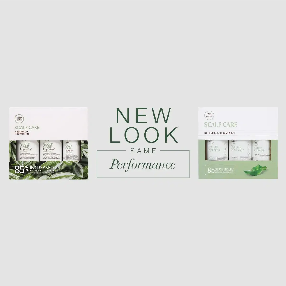 Tea Tree Scalp Care Regeniplex Regime Kit - Image 7