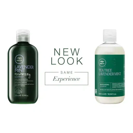 Tea Tree Lavender Mint Moisturizing Shampoo - Image 3