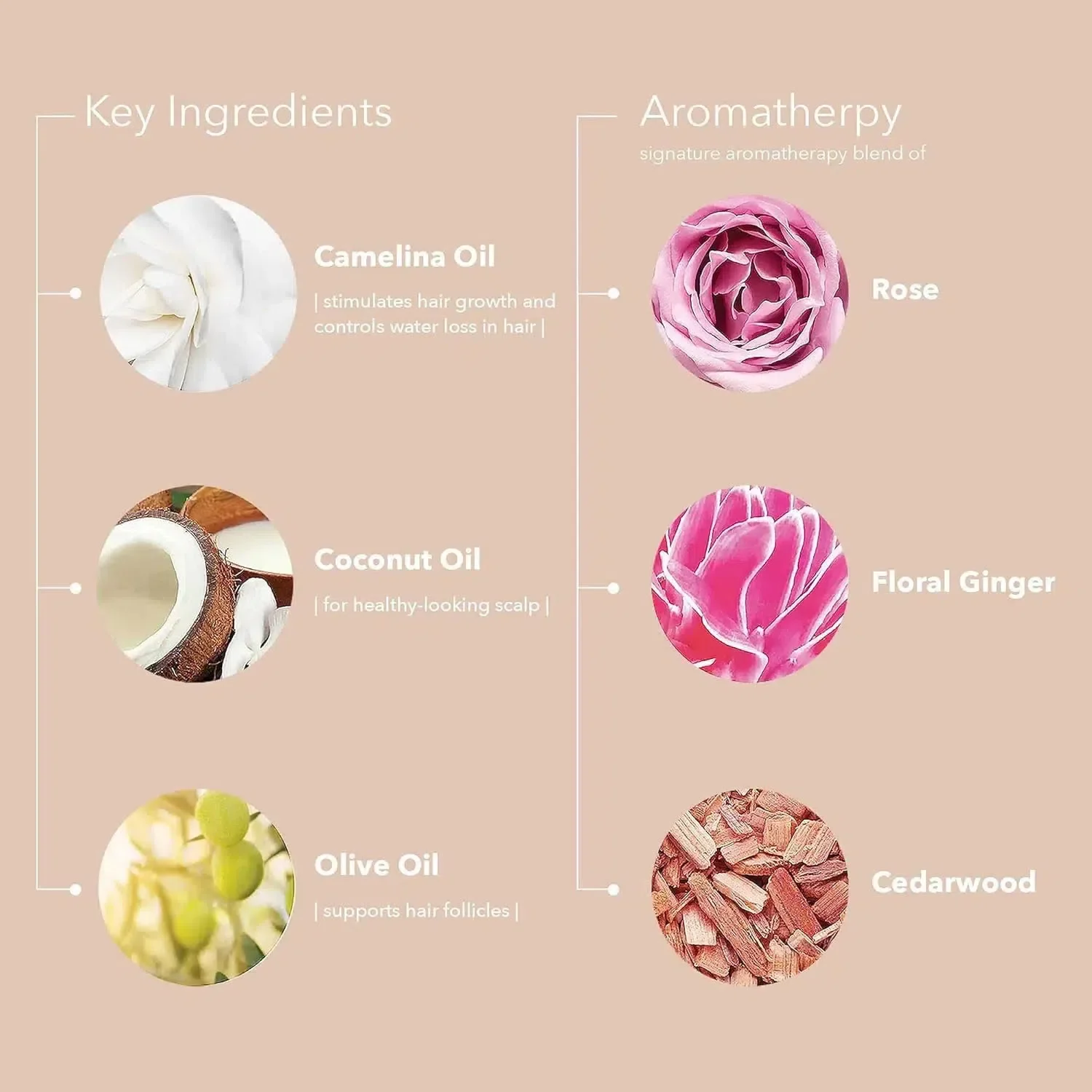 Colour Fanatic Multi-Tasking Deep Conditioning Mask - Image 4